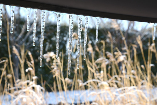 茶室の氷柱