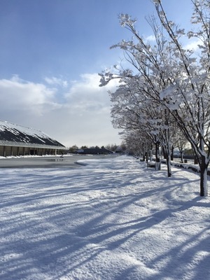 雪のプロムナード