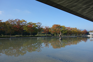 秋の佐川美術館