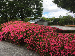 入館ゲートの様子