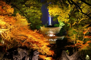 夜の石山寺